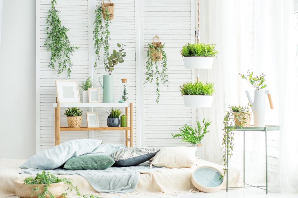 Piante da interno di design: come arredare casa con le piante